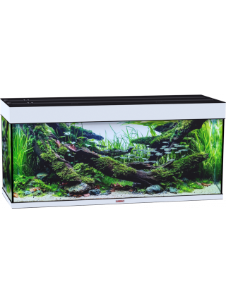 Аквариум Аквас без тумбы, 400 л  (141х51х65) см